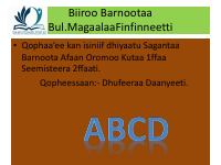Afaan Oromoo Kutaa 1ffaa.....pdf